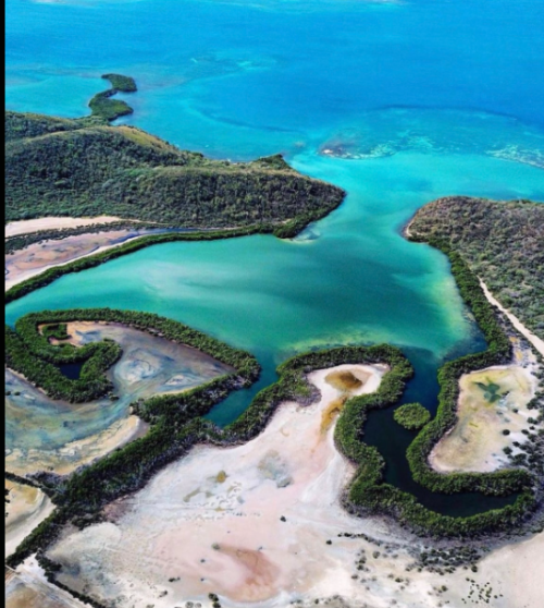 The country with the most bioluminescent bays in the world