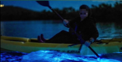 The country with the most bioluminescent bays in the world