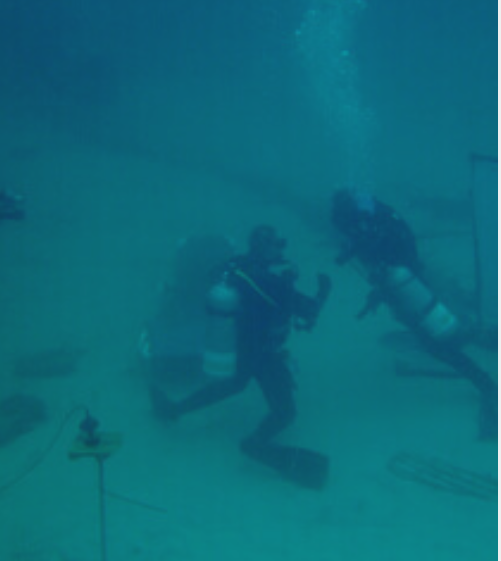 49hrs 56 min warm water sea dive