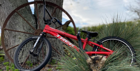 Longest distance completed on a Pump Track bycicle without pedalling or stopping.2