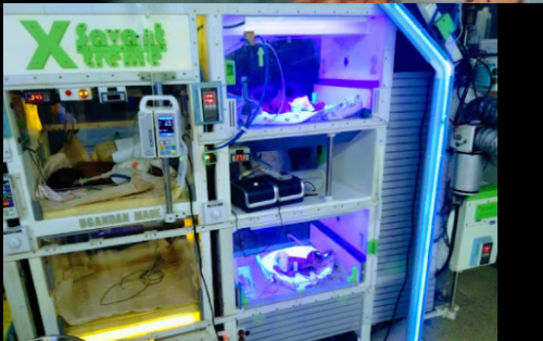 The World's Largest Baby Incubator