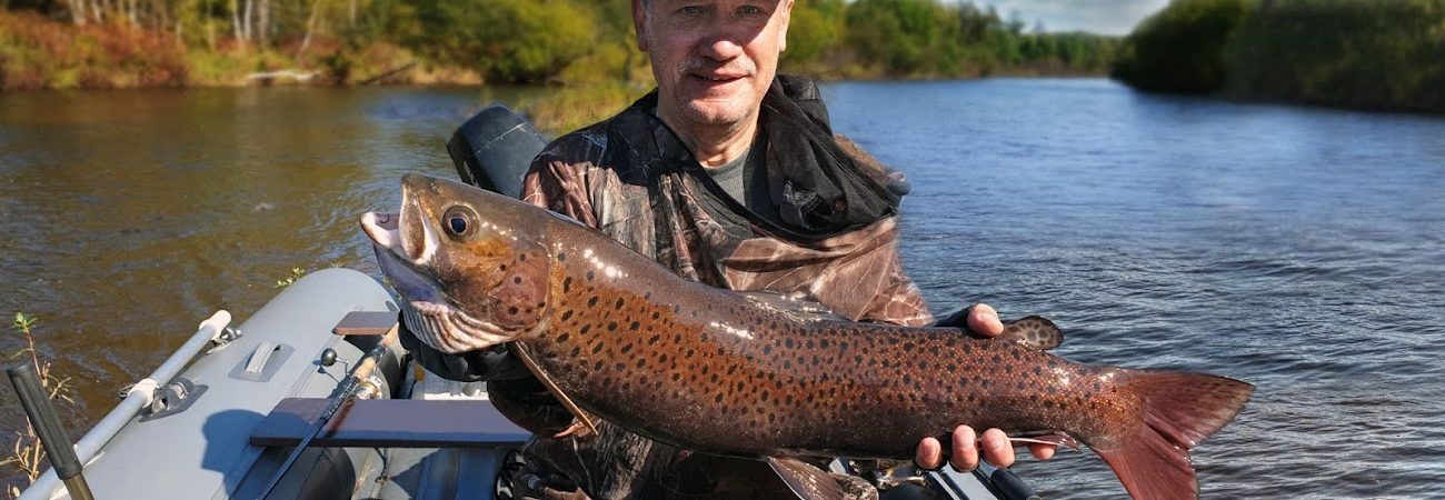 The largest Lenok, stupid (Brachymystax savinovi) ever caught. This is an All-Tackle World Record.