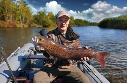 The largest Lenok, stupid (Brachymystax savinovi) ever caught. This is an All-Tackle World Record.