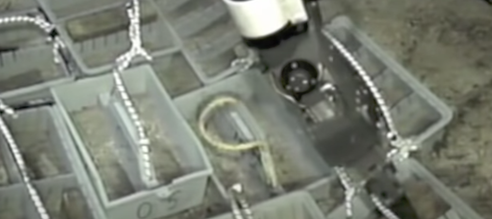 The largest treasure recovered from World War II